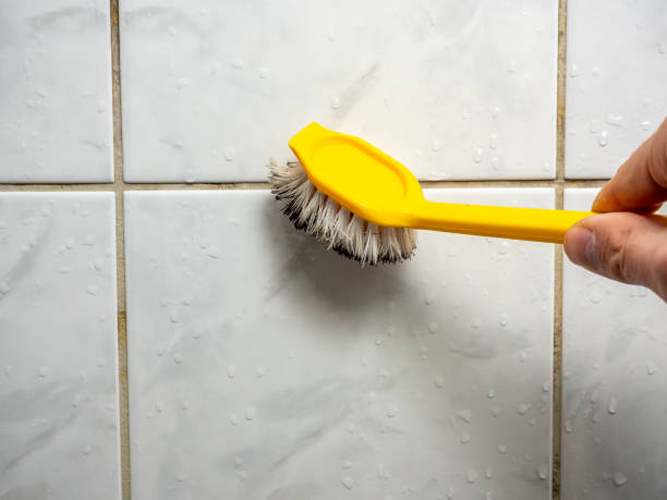 Best Emergency Mold Removal  in Hilltop, SC