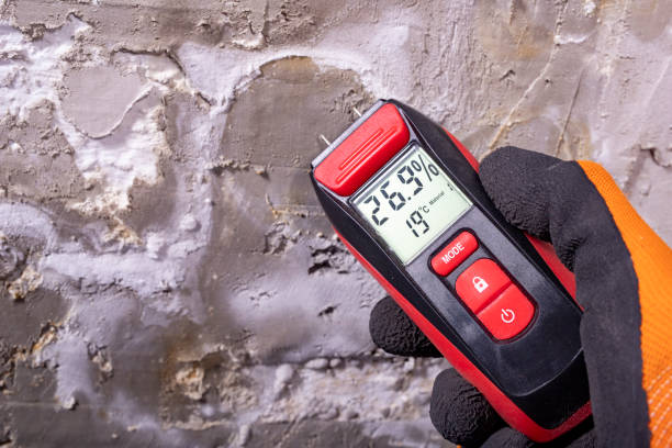 Best Mold Removal and Inspection  in Hilltop, SC