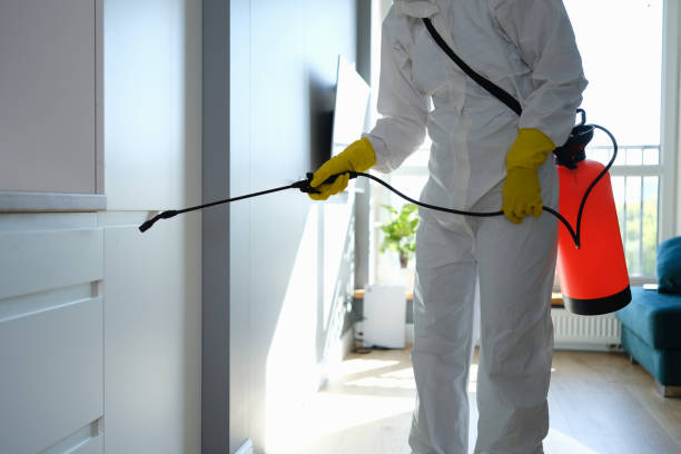 Best Home Mold Removal  in Hilltop, SC