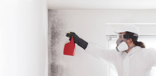 Best Residential Mold Removal  in Hilltop, SC