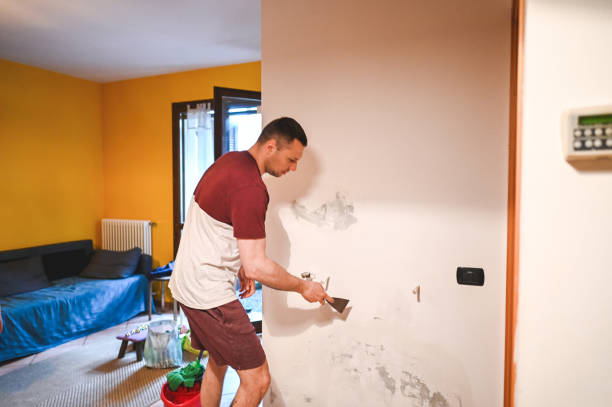 Best Mold Inspection  in Hilltop, SC